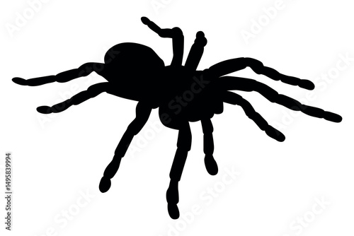 Vector art of Spider silhouette isolated on white background