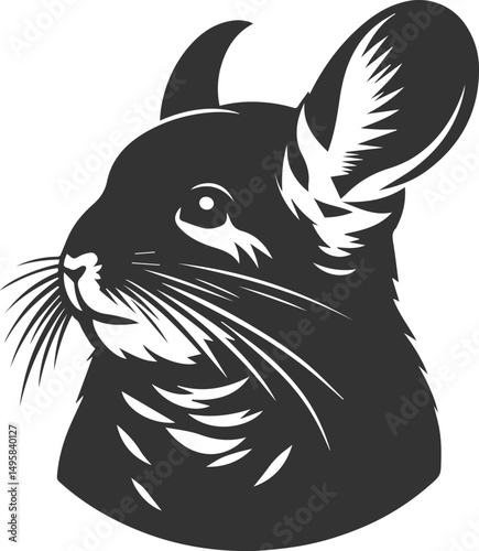 Vector chinchilla silhouette drawing