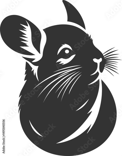 Vector chinchilla silhouette drawing