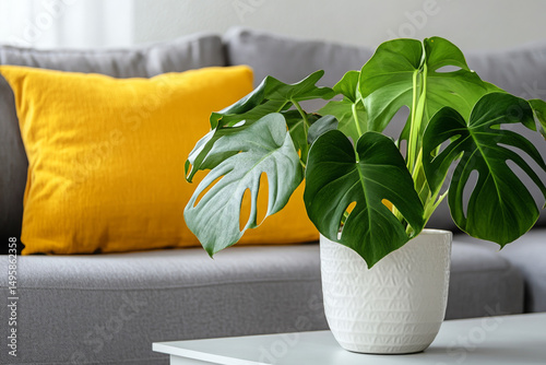 Colorful Throw Pillows and Cozy Sofa Interiors – Modern Home Decor Photography. AI generative.