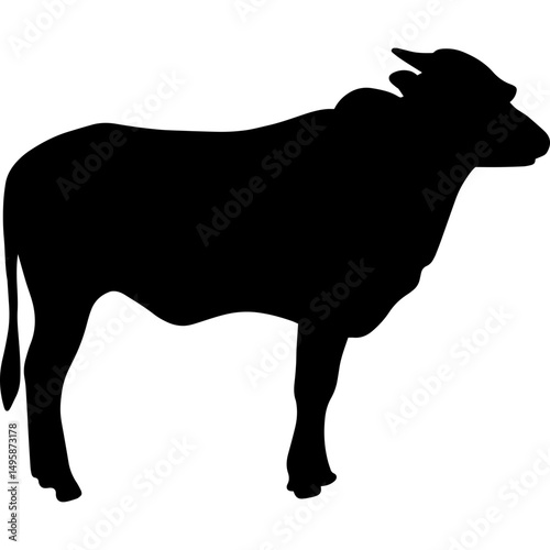 Silhouette Of Animal Eid Al Adha