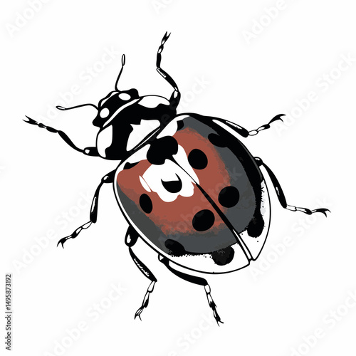Ladybug Outline Icon With Dots And Wings In Insect Style