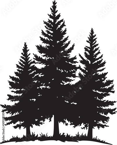 Pine Tree Silhouette Vector Illustration on Transparent Background