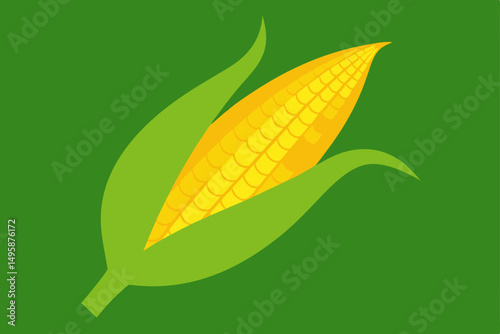 corn husk  