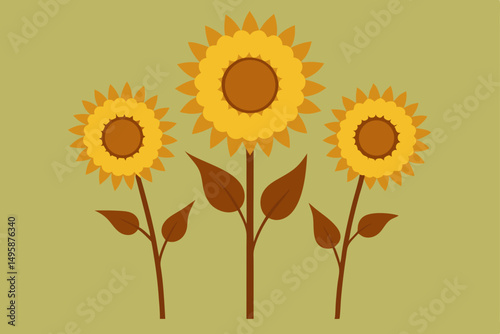 dried sunflowers  