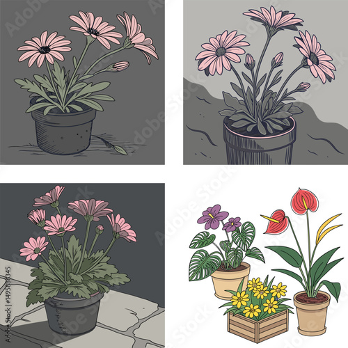 Potted Plants Illustration A Collection of Diverse Flowers and Foliage