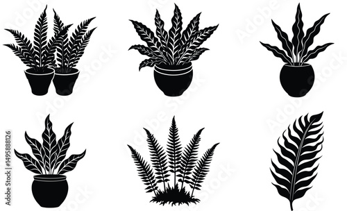 Bird’s Nest Fern Silhouette Set – Vector Collection of Indoor Tropical Fern Leaves for Botanical, Home, and Interior Design Projects
