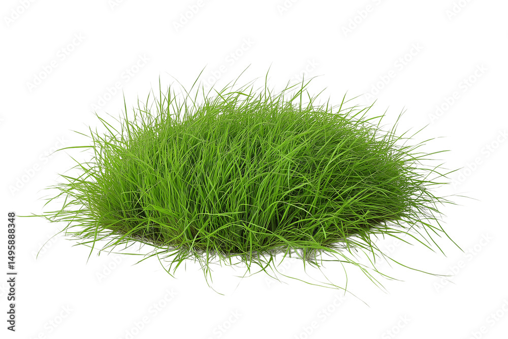 Fototapeta premium Green grass meadow isolated on transparent background