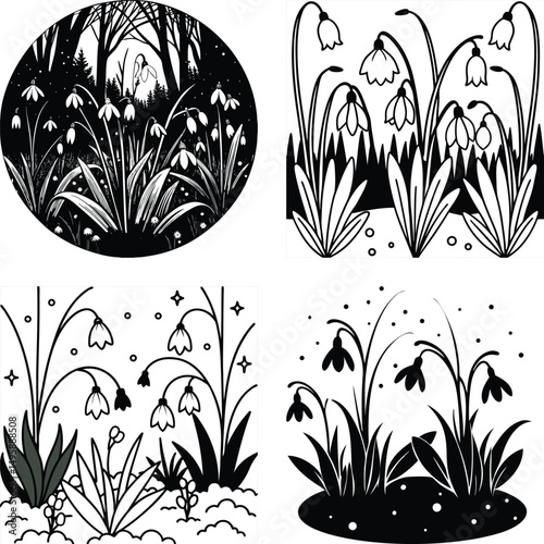 Four Unique Black and White Snowdrop Flower Illustrations