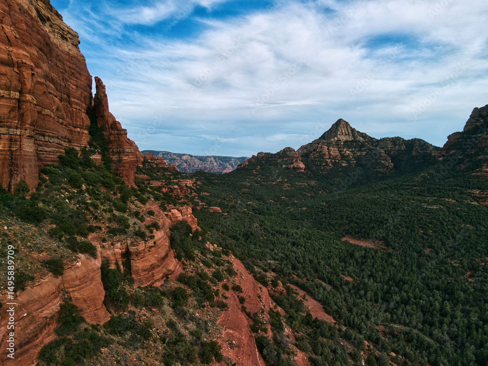 Fototapeta premium red rocks and trees in arizona