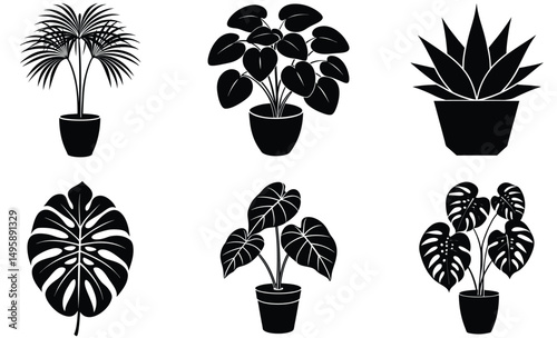 “

Indoor Plant Silhouette Set – Vector Collection Featuring Fittonia, Peperomia, Monstera Adansonii, Monstera Deliciosa, Kentia Palm, and Alocasia for Botanical and Decorative Design Projects