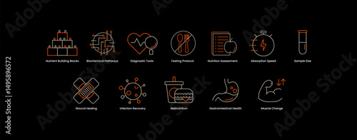 Gastrointestinal and Metabolic Health. Gastrointestinal Health, Metabolism & Jaundice, Metabolism Regulation, Biochemical Pathways, Muscle Change