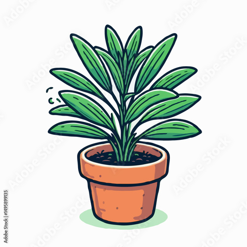  Leafy mosquito-repellent plant in terracotta pot