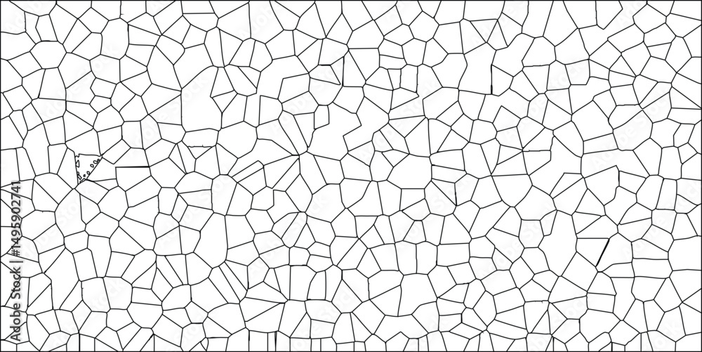 Obraz premium Abstract cell structure pattern in black and white geometric design for science technology and educational projects