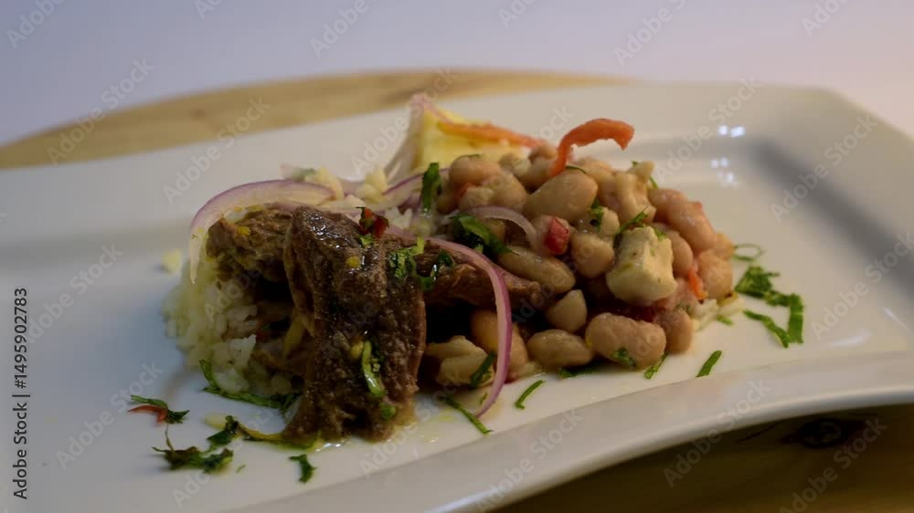 seco de carne con frijoles orbeef stew with beans ,very popular dish of the Peruvian gastronomy