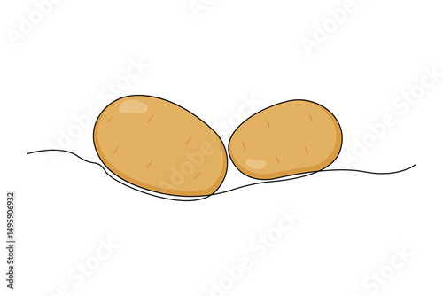Hand-drawn potato line art drawing. Fresh food linear icon vector.