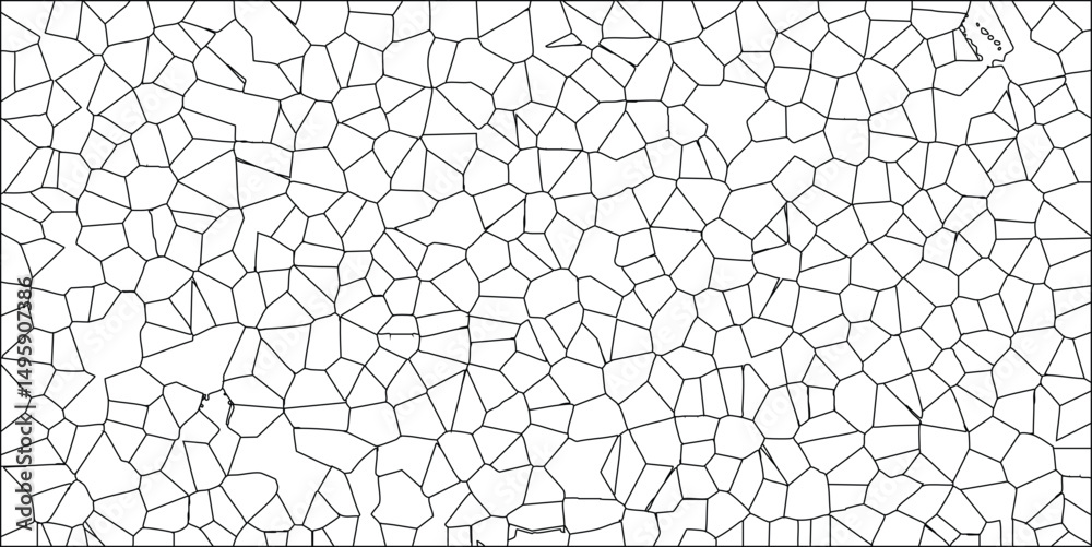 Obraz premium Abstract geometric pattern black lines on white background creating textured surface design cellular structure polygonal shapes