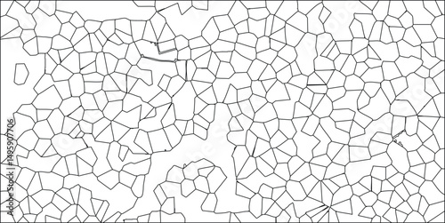 Abstract geometric pattern illustrating cells or tessellated structures in black lines over white space depicting complex and organic forms