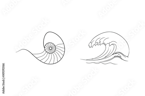 Black and white vector illustration of a nautilus shell and a surging ocean wave