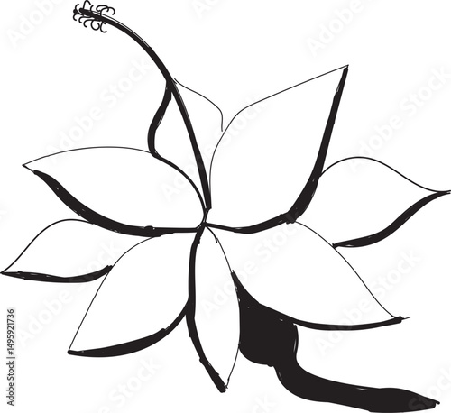 minimal botanical graphic sketch drawing, trendy tiny tattoo design, floral elements vector illustration