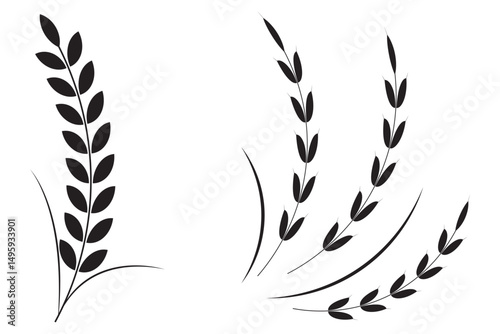 Agriculture  wheat icon. Ear of wheat icon, wheat, barley, rye or rice grain icon vector in flat  style.