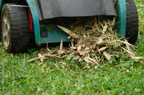 Wallpaper Mural A lawn mower is actively mulching freshly cut grass clippings, scattering them onto a well-maintained suburban lawn. Torontodigital.ca