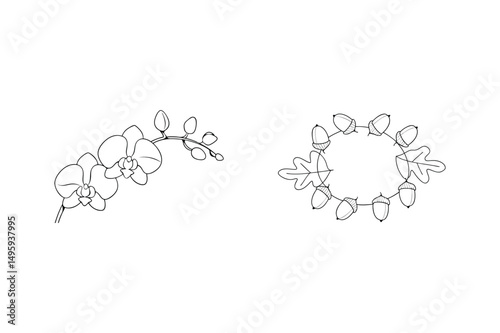 Elegant orchid blossom and acorn wreath outlined on a clean white background