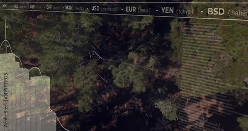 On startup finance overlay animating rising bars undulating graph showing currency codes over pines