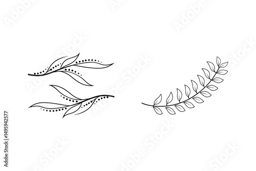 Elegant black and white botanical leaves vector elements for design and decorations