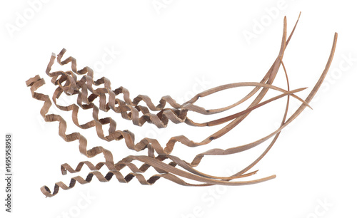 vintage dry decorative branches isolated on white background