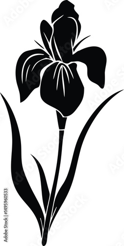 iris flower silhouette