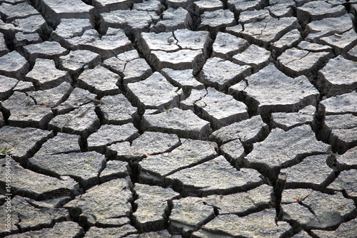 Dry, fissured desert ground with a small green sprout breaking through, highlighting life's persistence. Great for ecology and climate change visuals.