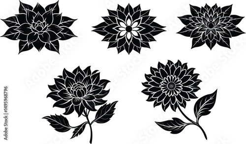 Black and White Dahlia Collection: Elegant collection of five stylized Dahlia flowers in monochrome, perfect for design projects needing a touch of floral sophistication.
