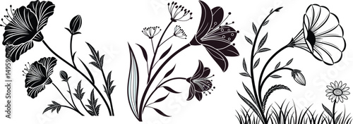 Floral Silhouette Elegance: Intricate floral silhouettes in elegant monochrome, each blossom a testament to nature's delicate artistry, a study in contrast and form.