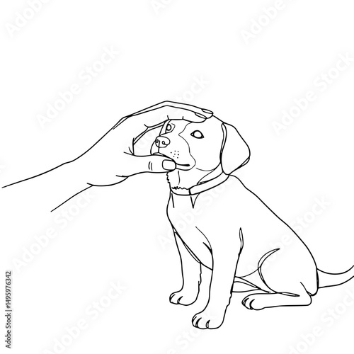 Hand petting a sitting puppy with copy space