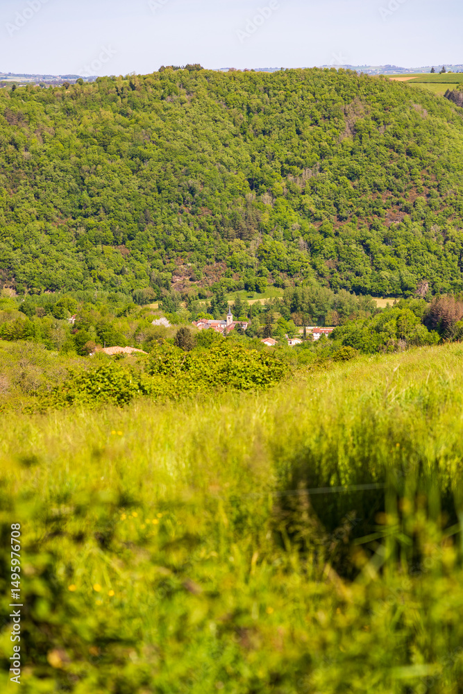 Obraz premium Hamlet of La Condomine on the banks of the Tarn from the heights of Ambialet