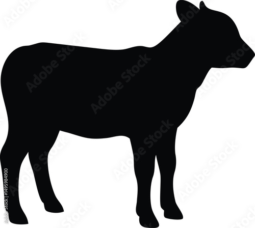 silhouette of a calf 