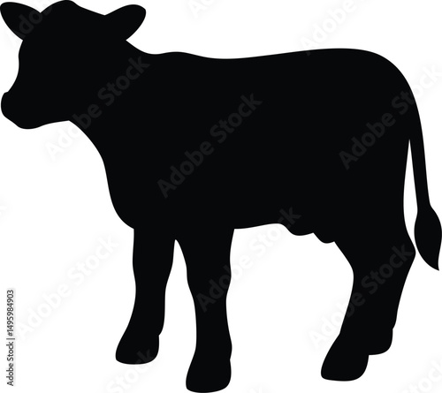 silhouette of a calf 