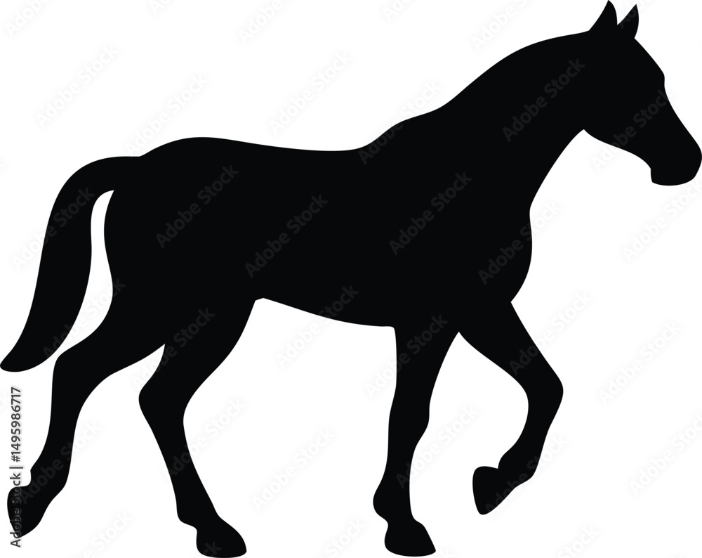 Fototapeta premium silhouette of a horse walking
