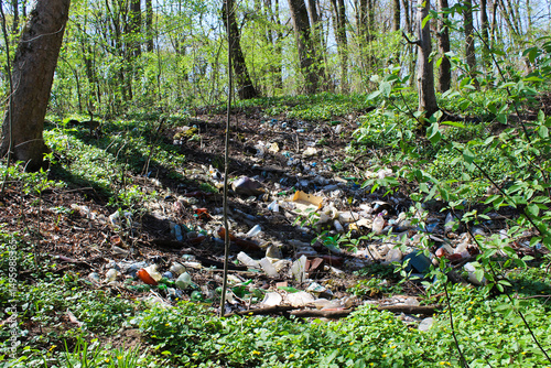 Plastic waste and litter in a forest environment
