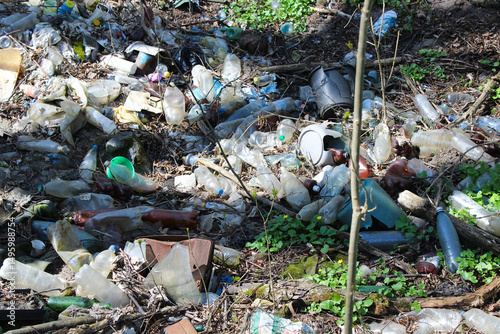 Plastic waste and litter in a forest environment