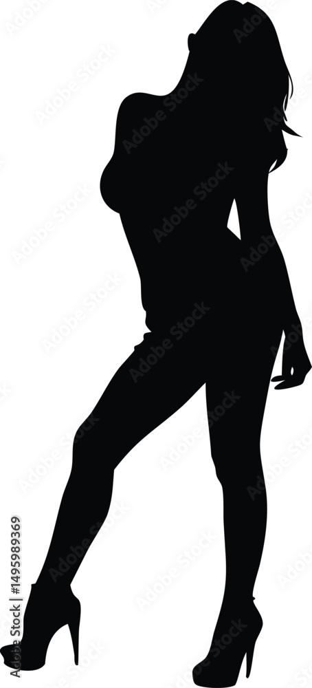 Fototapeta premium silhouette of an attractive woman posing