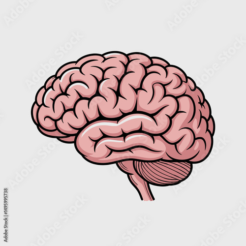 Cartoon Brain Illustration