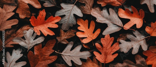 Autumn Leaves