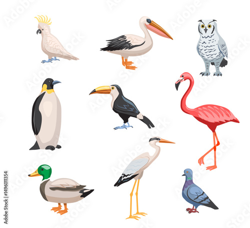 Set of different birds. Stickers with wild, exotic and urban birds. Portrait of parrot, penguin, dove, owl, flamingo, toucan and duck. Cartoon vector illustration collection isolated on background