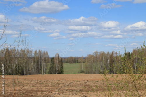 plowed field blue sky with white clouds and forest in late spring on a sunny day