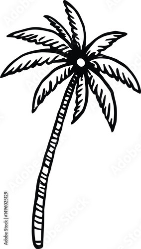 palm tree silhouette