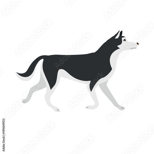Vector flat hand drawn husky dog isolated on white background