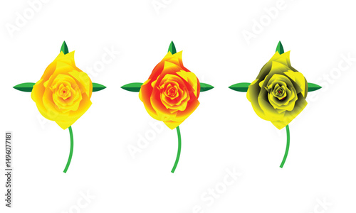 Abstract Green Flower Vector with Layered Petals
