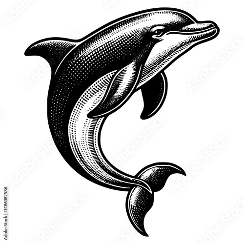 A graceful dolphin depicted in detailed monochrome illustration, showcasing its playful nature and aquatic charm. The art evokes the wonder of the sea.